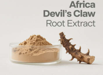Africa Devil's Claw Root Extract