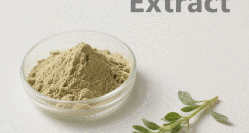 Alfalfa Extract
