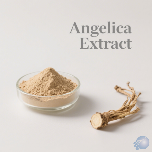 Angelica Extract