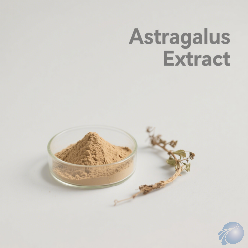 Astragalus Extract