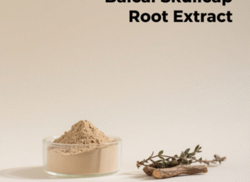 Baical Skullcap Root Extract