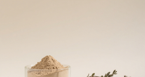 Baical Skullcap Root Extract