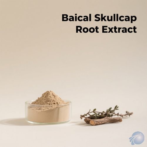 Baical Skullcap Root Extract