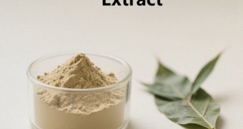 Bamboo Leaves Extract