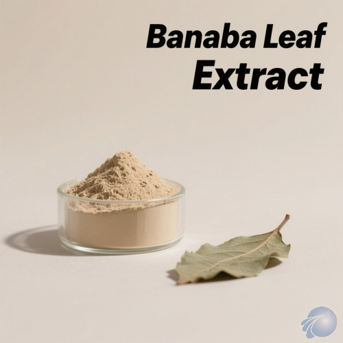 Banaba Leaf Extract