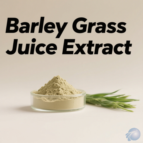 Barley Grass Juice Extract
