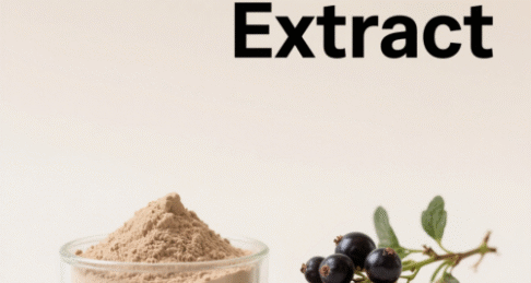 Black Current Extract