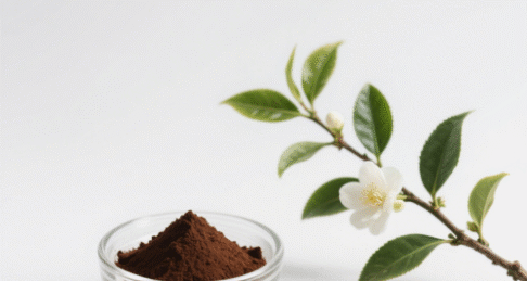 Black Tea Powder