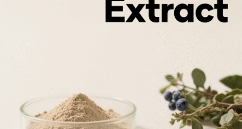 Blueberry Extract