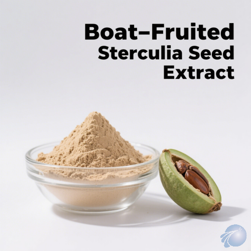Boat-Fruited Sterculia Seed Extract