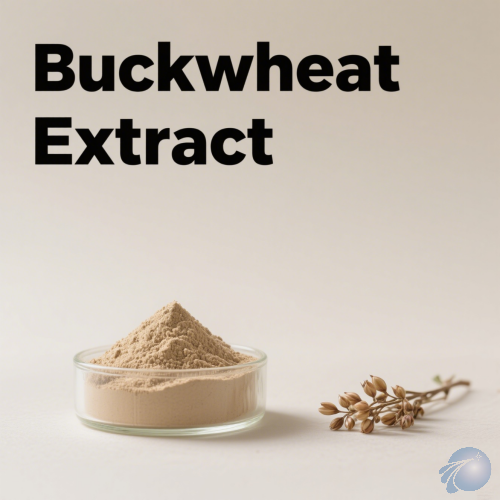 Buckwheat Extract