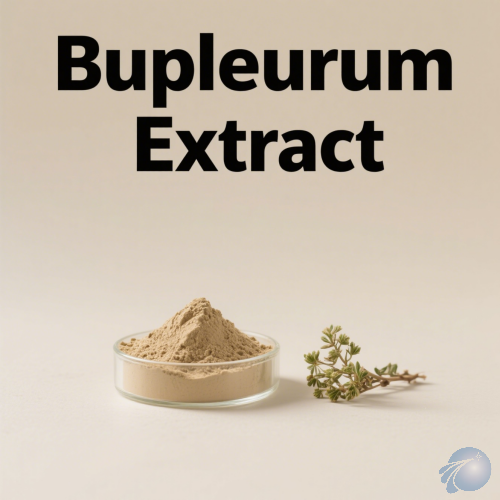 Bupleurum Extract