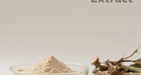 Caulis Spatholobi Extract