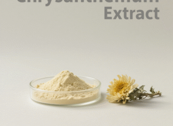 Chrysanthemum Extract