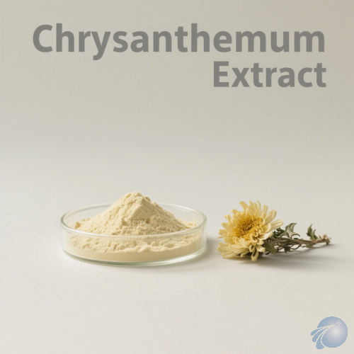 Chrysanthemum Extract