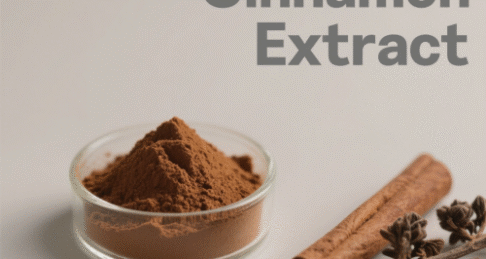 Cinnamon Extract