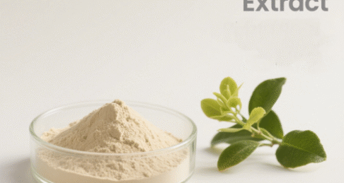 Citrus Aurantium Extract