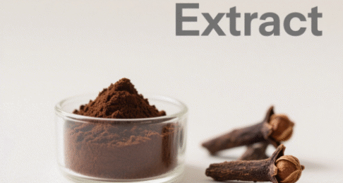 Cloves Extract