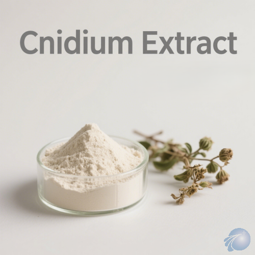 Cnidium Extract