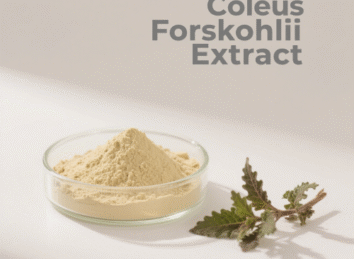 Coleus Forskohlii Extract