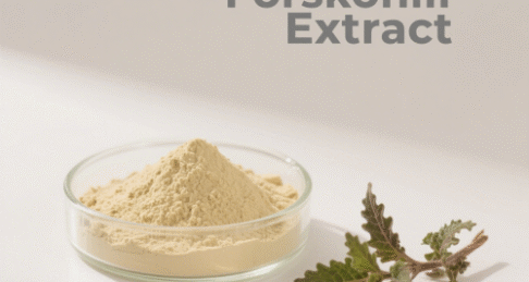 Coleus Forskohlii Extract