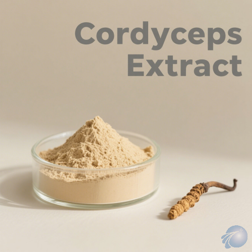 Cordyceps Extract