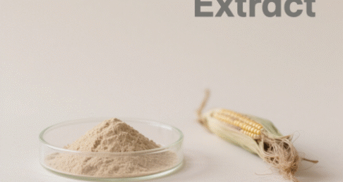Corn Silk Extract