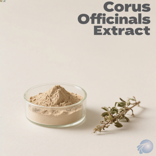 Corus Officinals Extract