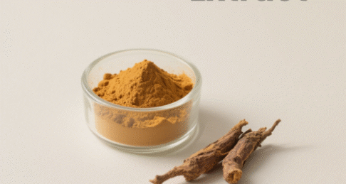 Curcumin Extract