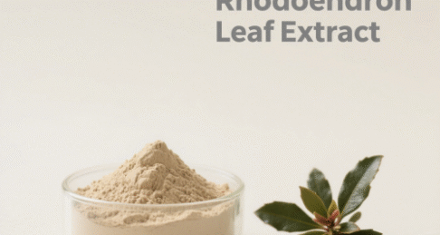 Dahurian Rhodoendron Leaf Extract