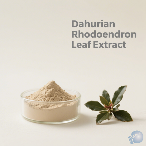 Dahurian Rhodoendron Leaf Extract