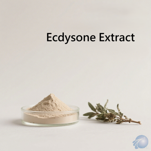Ecdysone Extract