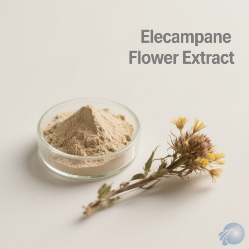 Elecampane Flower Extract
