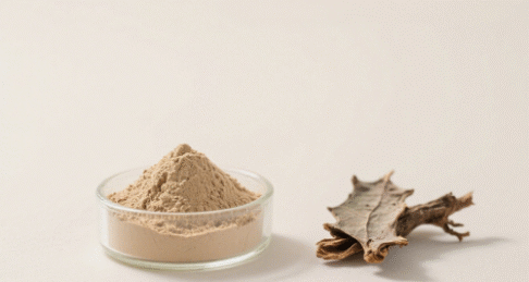 Eucommia Bark Extract