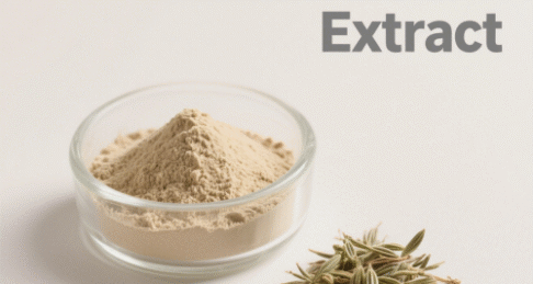 Fennel Seed Extract