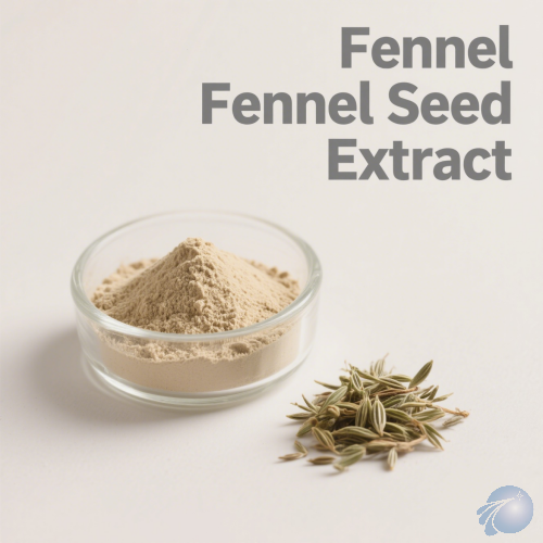 Fennel Seed Extract
