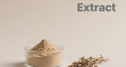 Flaxseed Extract