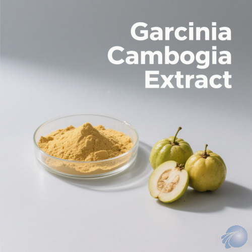 Garcinia Cambogia Extract