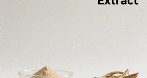 Gastrodia Rhizoma Extract