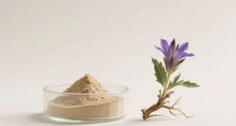 Gentian Root Extract