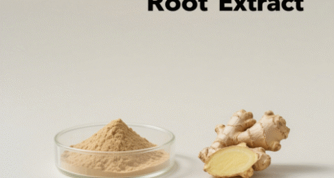 Ginger Root Extract