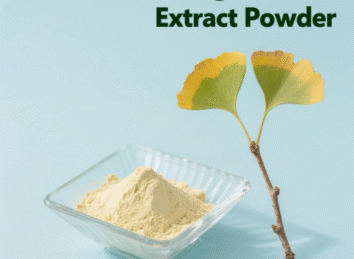 Ginkgo Biloba Extract Powder
