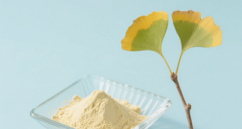 Ginkgo Biloba Extract Powder
