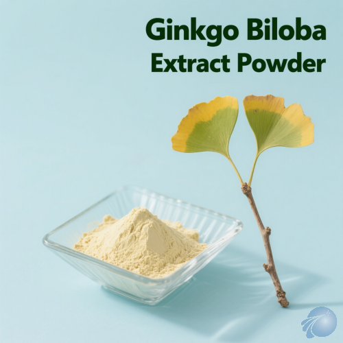 Ginkgo Biloba Extract Powder