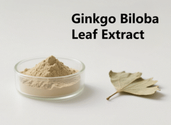 Ginkgo Biloba Leaf Extract
