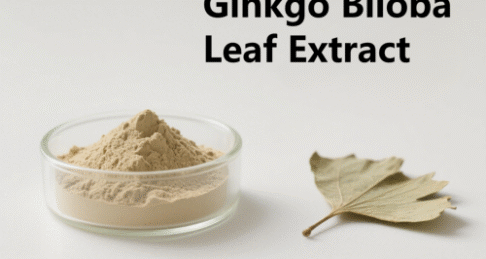 Ginkgo Biloba Leaf Extract