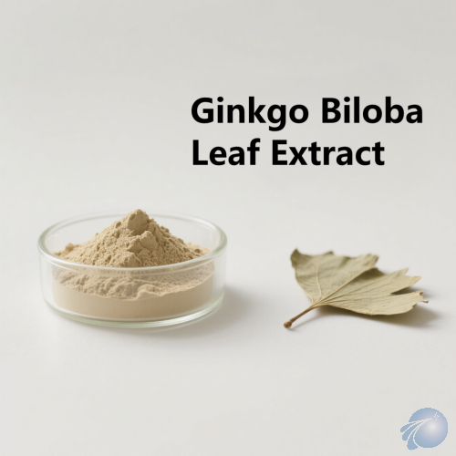 Ginkgo Biloba Leaf Extract