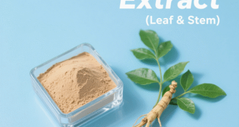 Ginseng Extract (Leaf & Stem)