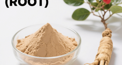Ginseng Extract (Root)