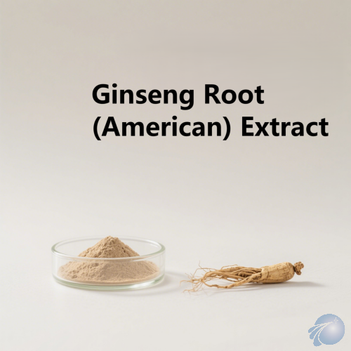 Ginseng Root (American) Extract